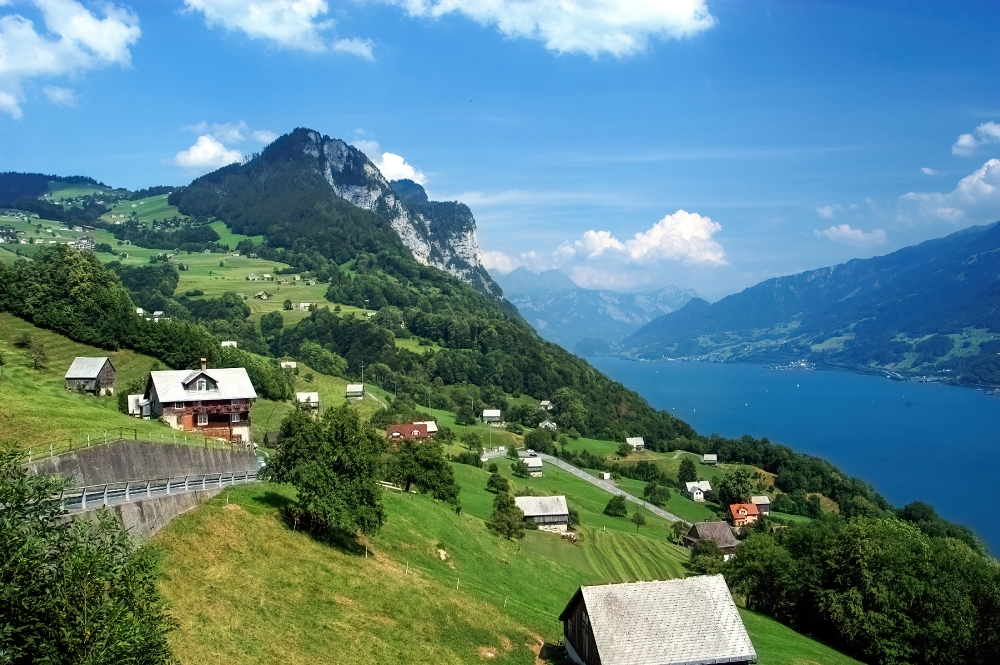 Switzerland lush green landscape with view of lake