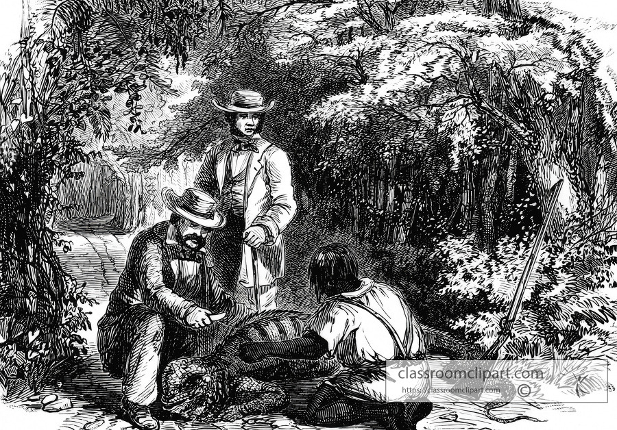 the iguana historical illustration