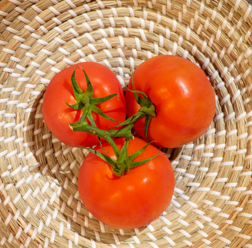 three freshly picked tomatoes in weaved basket photo image
