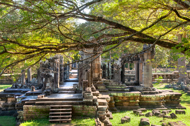 trees surround temple complex angkor wat siem reap cambodia