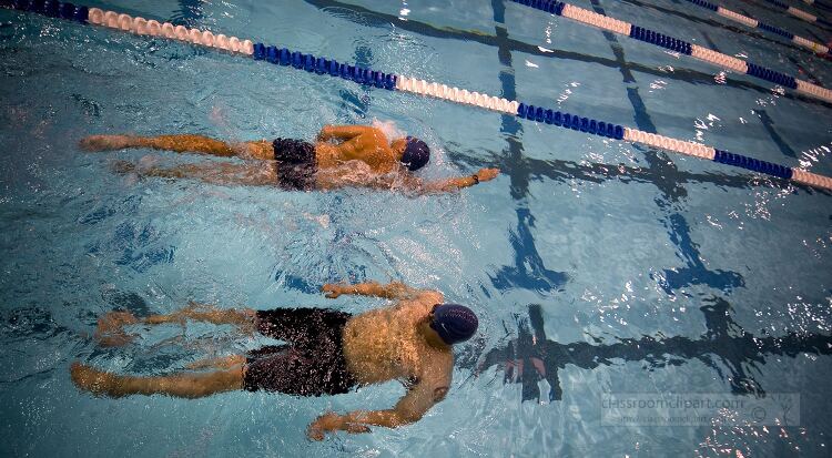 Two swimmers swimming in a lane of a swimming pool