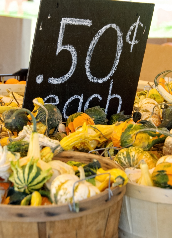 variety gourds for sale in baskets