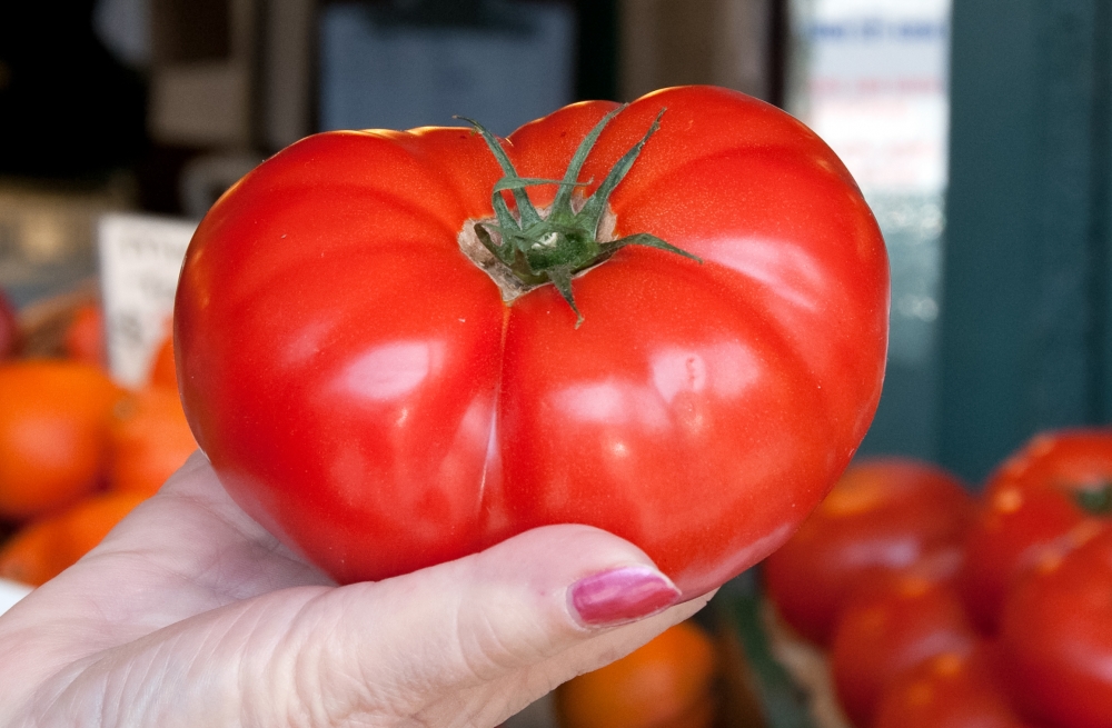 Woman Holding Ripe Tomato In Hand