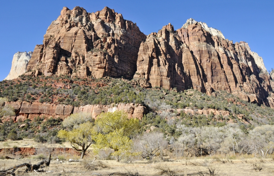 zion national park 074a