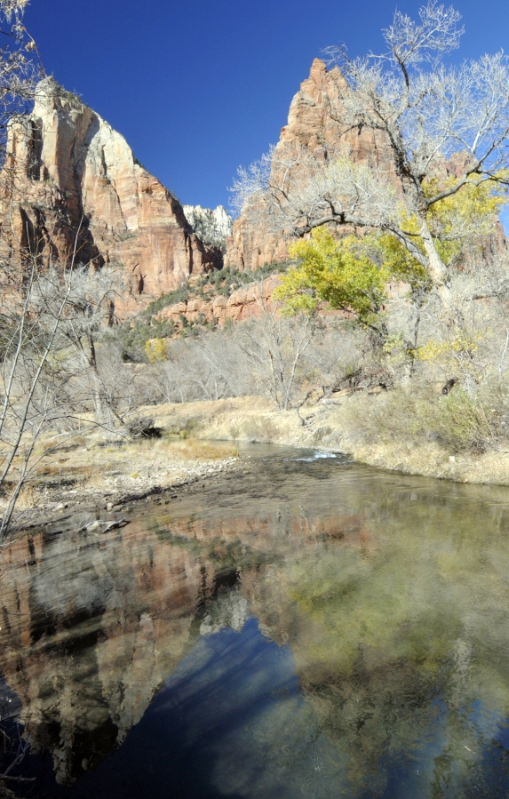 zion national park 11b