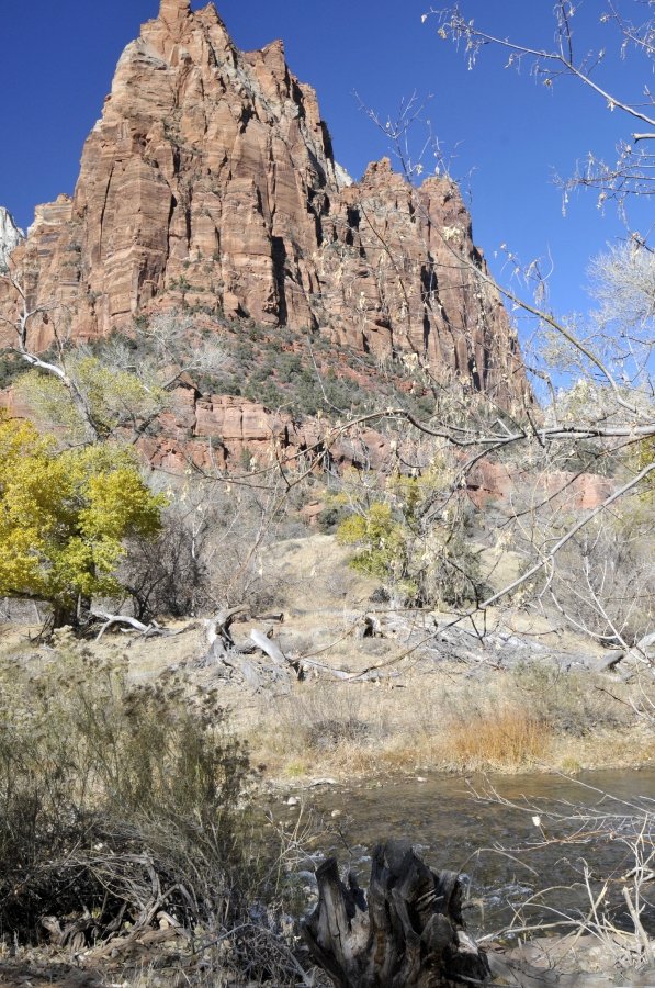 zion national park 20a