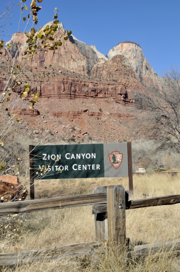 zion national park 311A