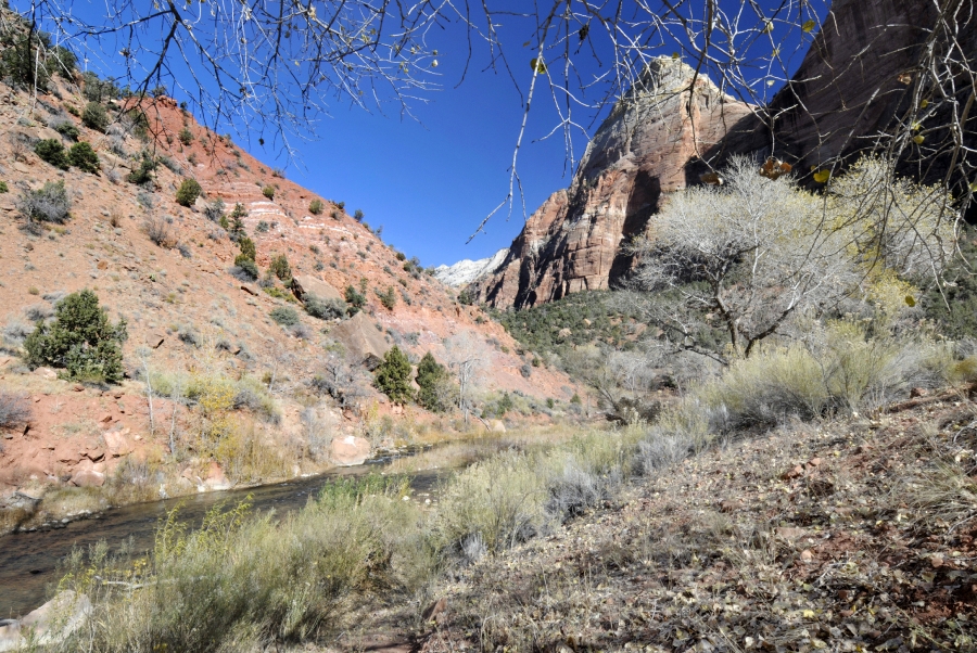 zion national park 41a