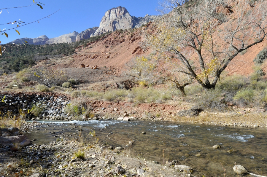 zion national park 45a