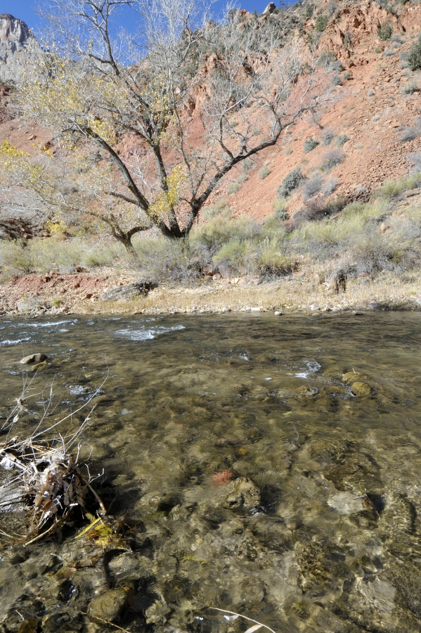 zion national park 54a