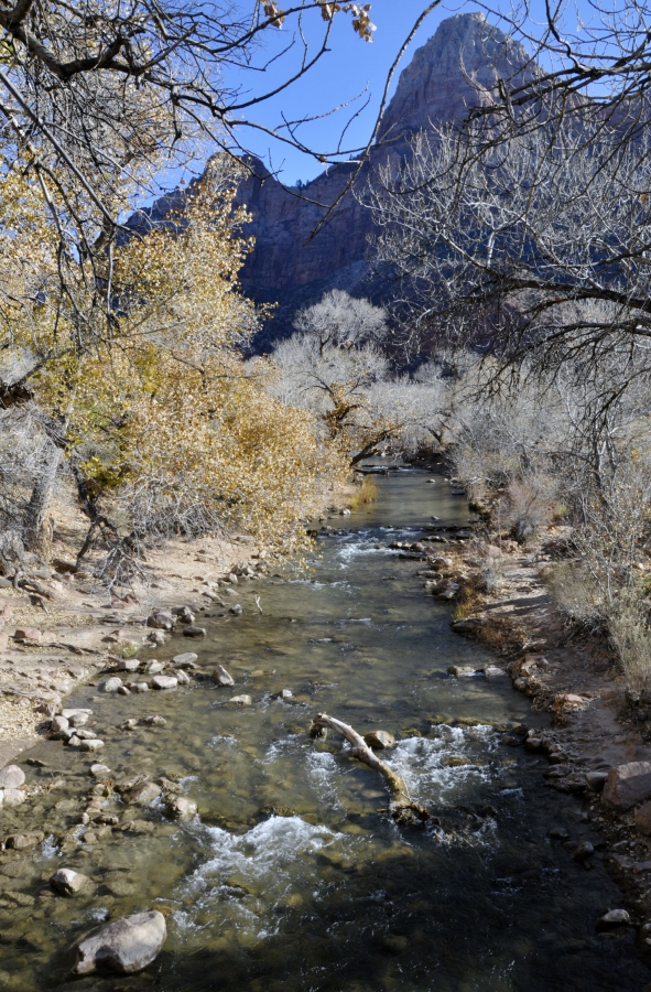 zion national park 643a