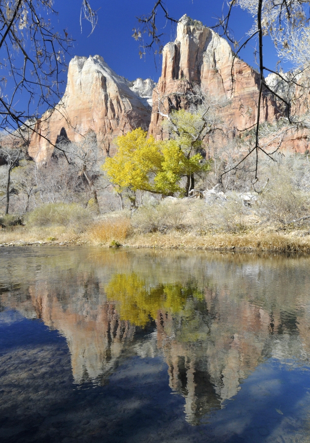 zion national park 65c