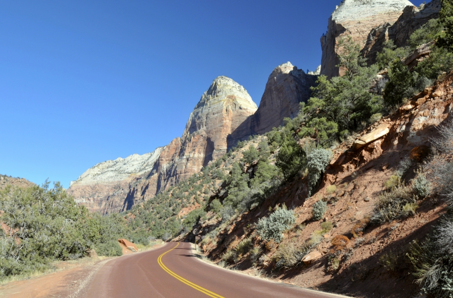 zion national park 78a