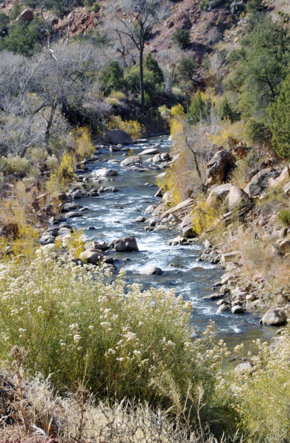 zion national park 84a