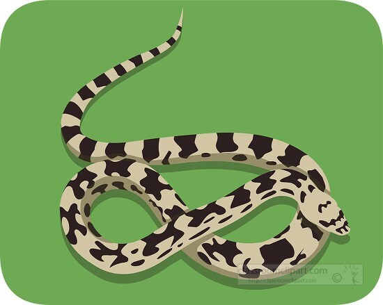 pine snake reptile clipart