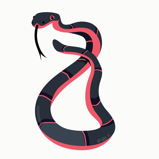 pink and black stripes coiled clipart