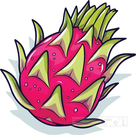 pink and green dragon fruit clip art