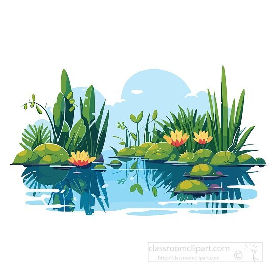 pond filled with water lilies and plants
