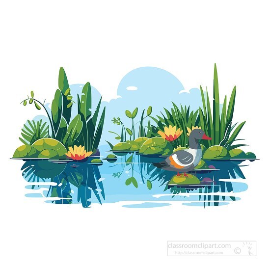 ducks in a pond clipart