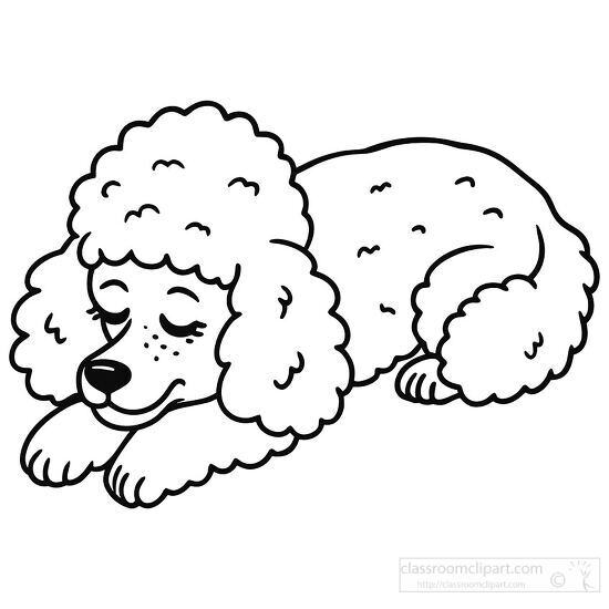 poodle in a sleeping position black outline