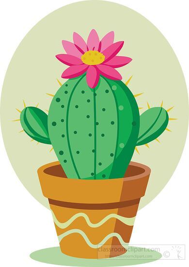 Potted Cactus with Blooming Flower