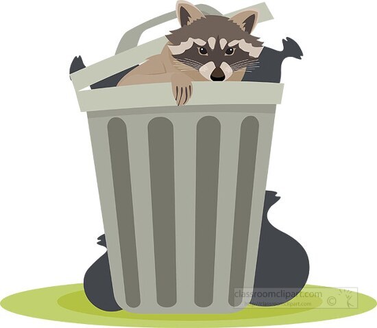 raccoon digging thrugh trash clipart