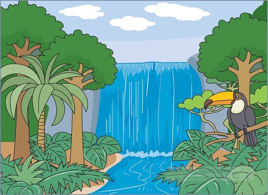 cartoon rainforest clipart