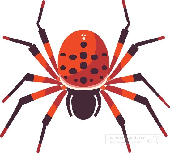 red and black spider with black spots