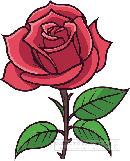 red rose flower with stem and leaves