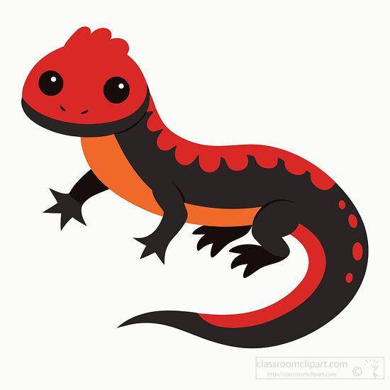 red salamander with black and orange markings