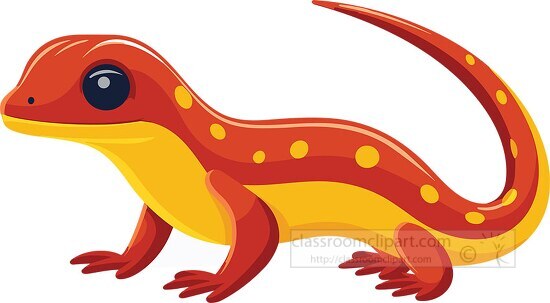 red yellow spotted salamander 1 clip art