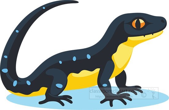 salamander with light blue spots clip art
