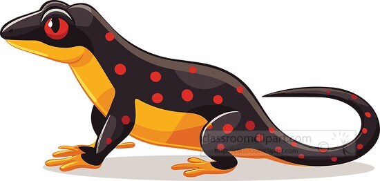 salamander with red spots clip art