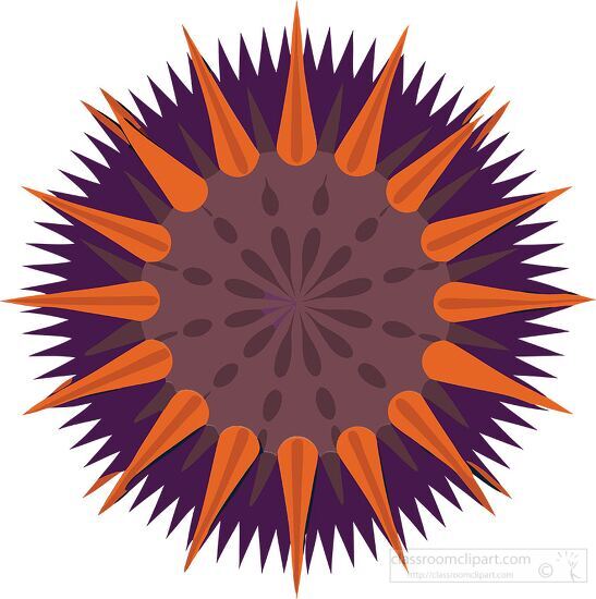 sea urchin with orange and dark blue spikes