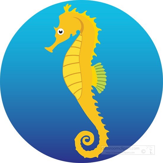 seahorse a marine fish in upright posture with blue background c