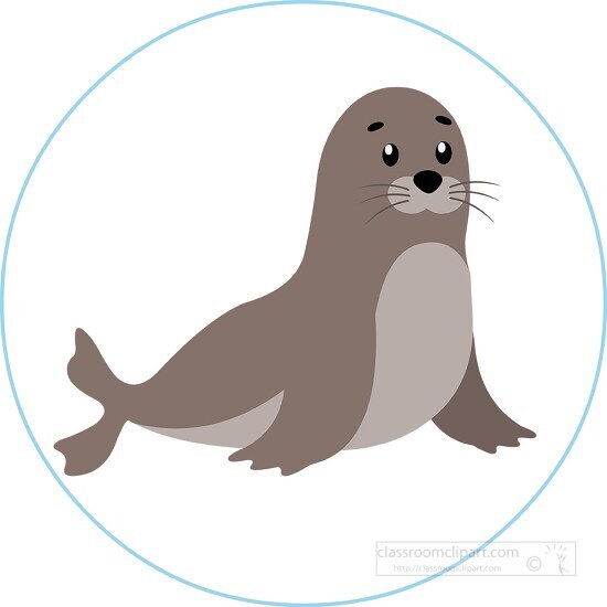 Seal Animal Clipart
