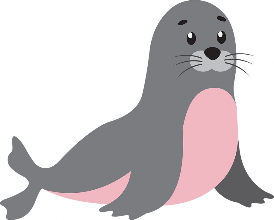 seal animal gray pink color clipart