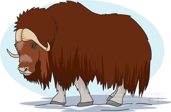 shaggy musk ox mammal native to arctic clip art