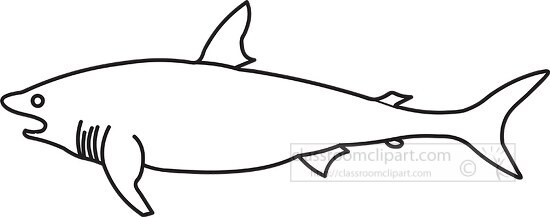 shark black outline clipart 22