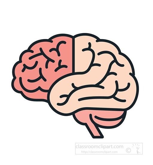 Anatomy Clipart-side view of human brain icon