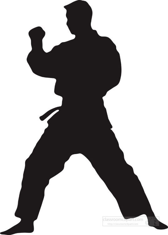 silhouette of a man practicing martial arts