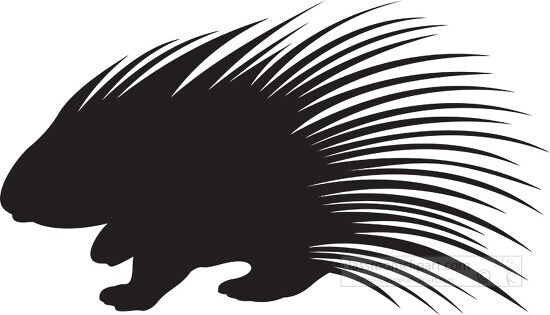 silhouette of porcupine with long spines on the back