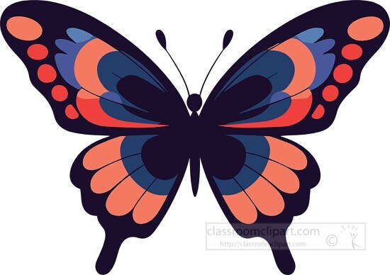 single colorful butterfly