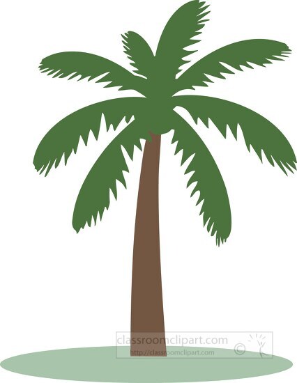 single green palm tree