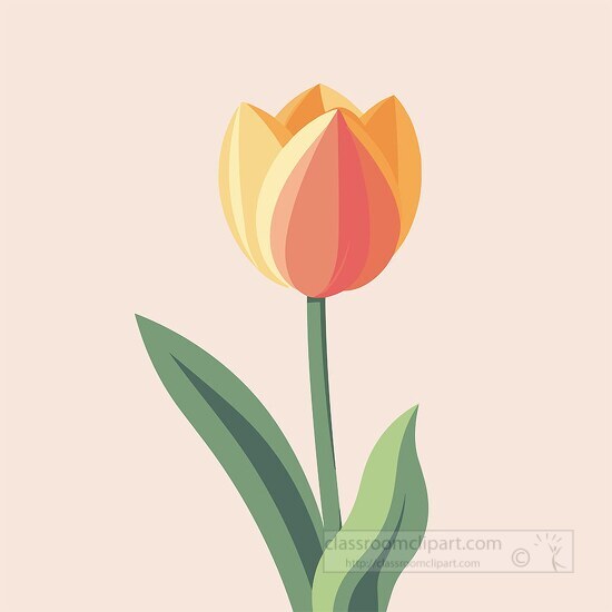 single tulip with two colors flat design clip art