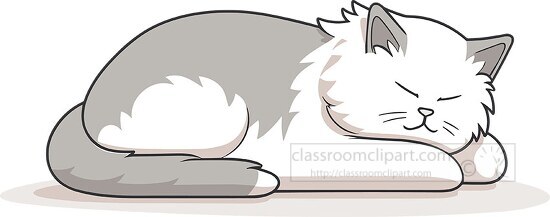 sleeping white and gray cat with long tail