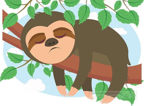 sloth sleeping on tree branch clipart