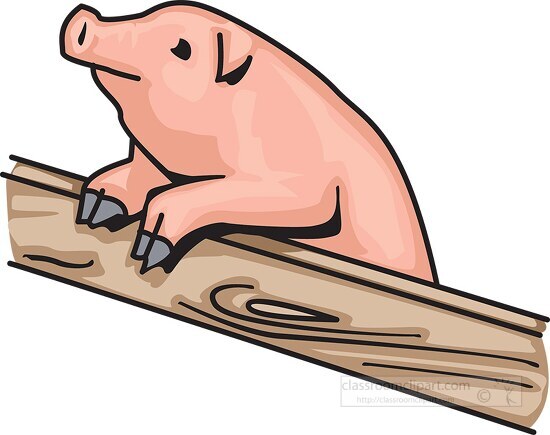 smiling pig resting on wooden fence clip art