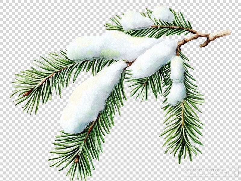 A close view of a spruce branch adorned with fresh snow, capturing the beauty and tranquility of winter. The green needles contrast beautifully against the white snow.