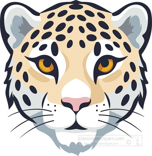 spotted leopard animal face